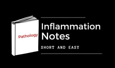 Inflammation pathology notes - Short and easy revision notes
