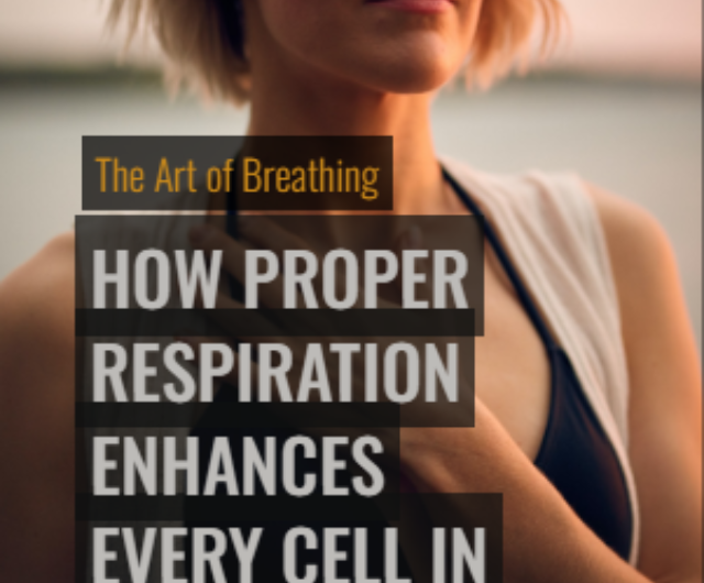 The Art of Breathing: How Proper Respiration Enhances Every Cell in Your Body