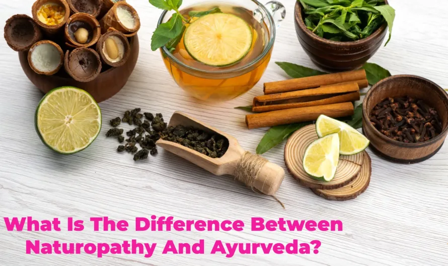 What Is The Difference Between Naturopathy and Ayurveda?