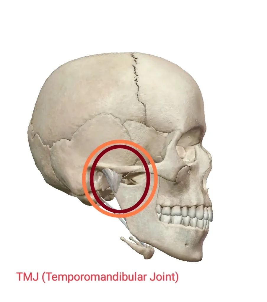 Physiotherapy for TMJ in hindi - टेम्पोरोमैंडिबुलर ज्वाइंट